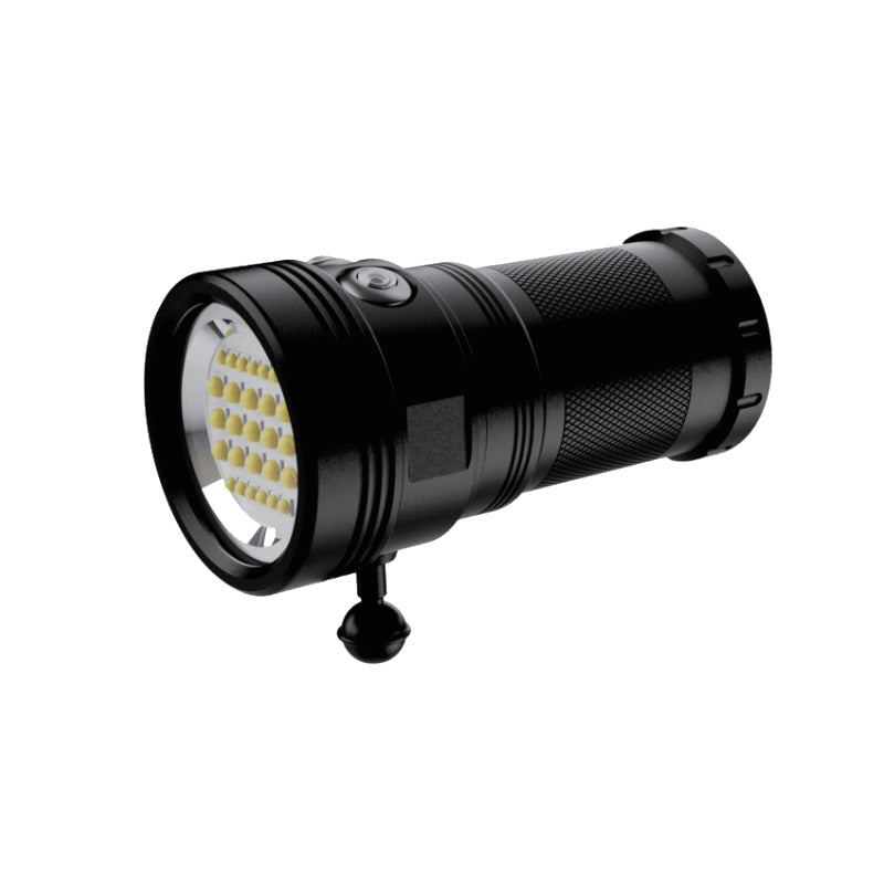 Skywoods Underwater Video Light